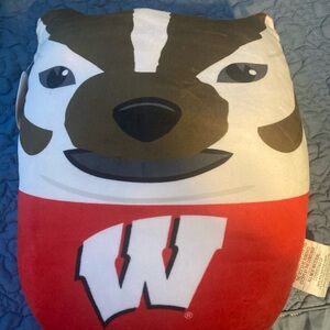 Wisconsin Badgers Plush Pillow 14”